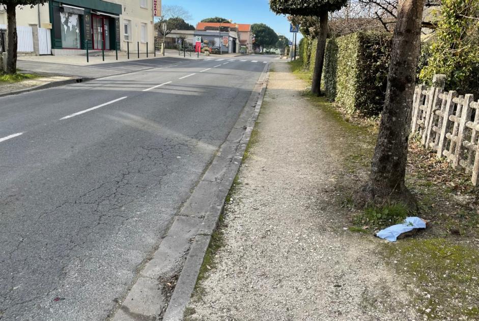 Alerte Découverte Chat croisement Inconnu , Entre 9 et 12 mois Gauriac France